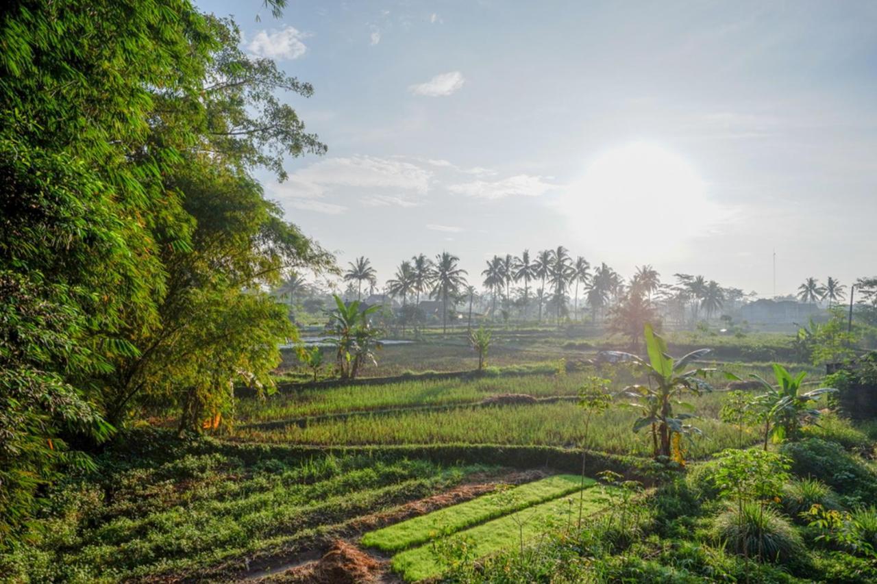 Reddoorz Syariah At Omah Sawah Hotel Balong  Exterior photo